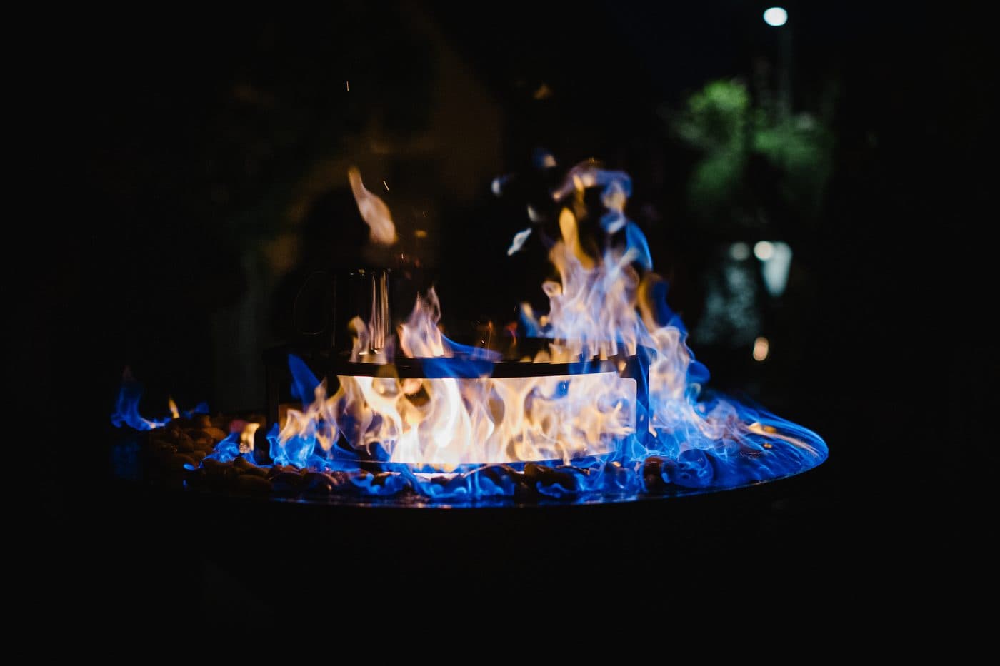 VEGANfire Archiv